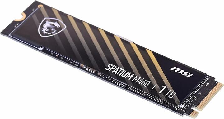 Actual product image MSI Spatium M460 (1000 GB, M.2 2280)