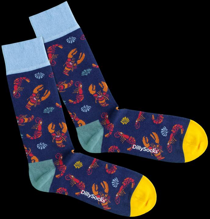 DillySocks Water Coast (confezione da 3)