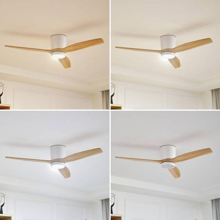 Actual product image Lucande Faipari (47 dB)