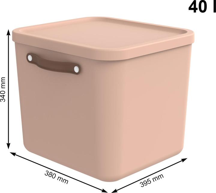Produktbild Rotho 2er-Set Aufbewahrungsbox Maloja 40l (40 l)