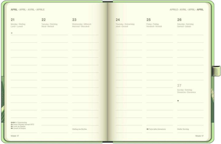 Actual product image Neumann N NEUMANNVERLAGE - Matcha 2025 Cool Diary, 16x22cm, weekly calendar with banderole and ribbon (16 x 22 cm, German)