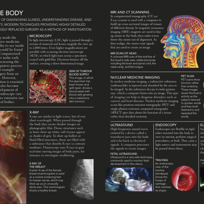 Produktbild The Concise Human Body Book (Englisch, DK, 2019)