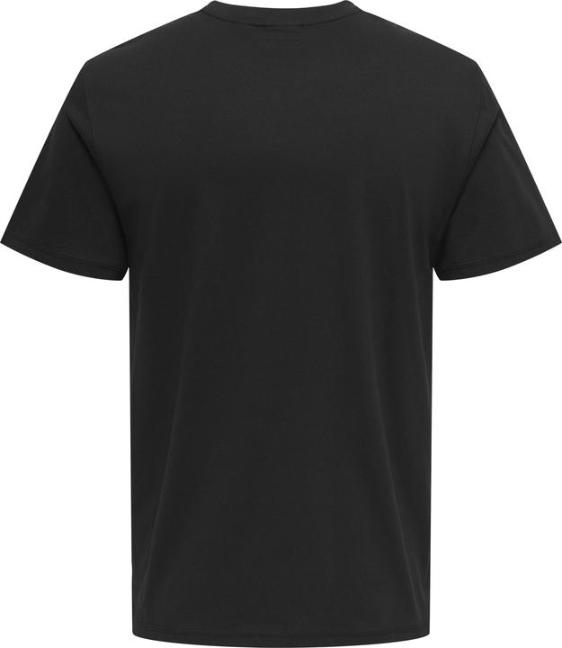 Actual product image Only & Sons ONSOASIS T-shirt T-shirt (XL)