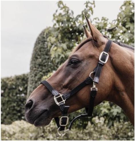 Kentucky Horsewear Licol d'écurie Plaited Nylon