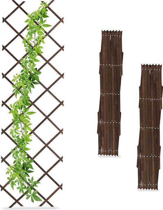 Actual product image Relaxdays 3x trellis (1.50 cm, 60 cm)