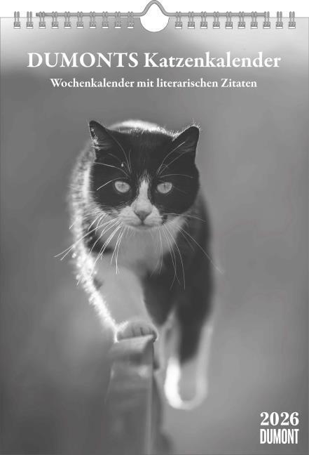 Actual product image Dumonts literarischer Katzenkalender - Wochenkalender mit 53 Motiven und Zitaten von Marion (German)