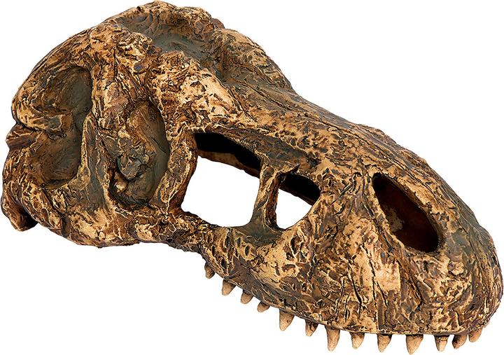 Image du produit Exo Terra T-Rex Crâne