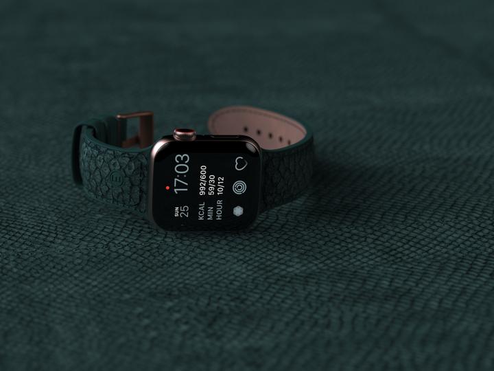 Actual product image Njord Jord Watch Strap For (40 mm, 41 mm, Vegan salmon leather, Silicone, Vegan Leather)