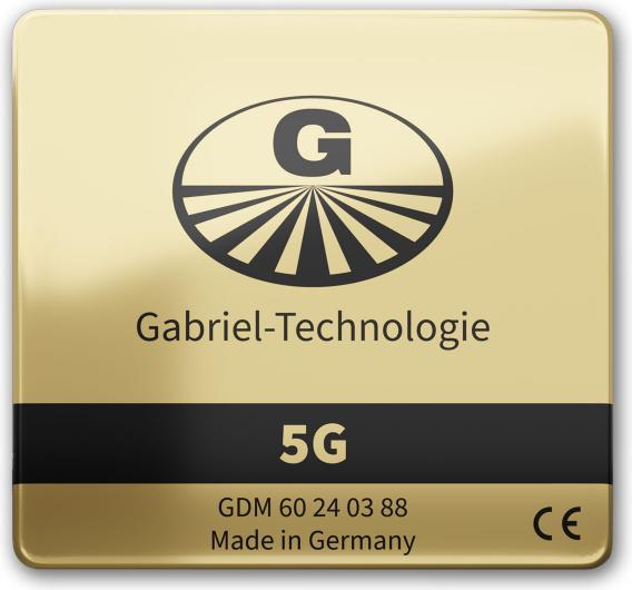 Actual product image Gabriel-Tech Gabriel chip 5G, DEGDM60GO88, gold