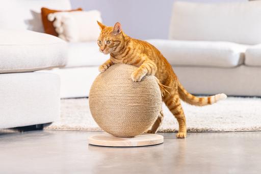 Actual product image Designed by Lotte Balty (27 cm, Brown)