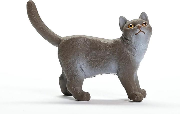 Produktbild Schleich Britische Kurzhaar Katze