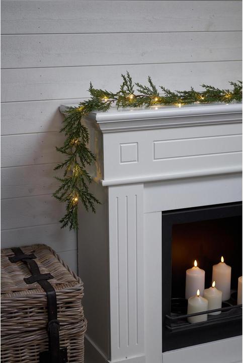 Image du produit Star Trading Thuja