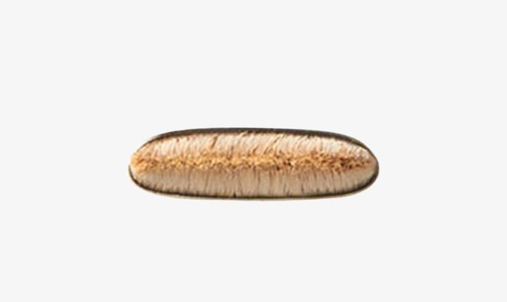 Productafbeelding MAC Cosmetics 212 Platte Definer Kwast (Wenkbrauwen)