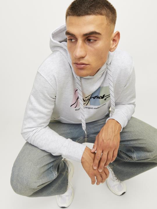 Actual product image Jack & Jones Jorportland Block Sweat Hood Ln (S)