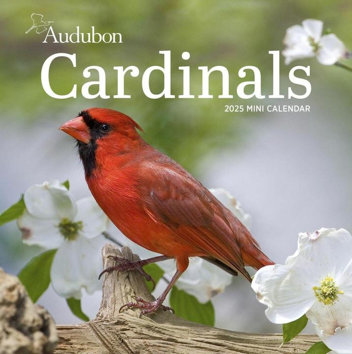 Produktbild Audubon Cardinals Mini Wall Calendar 2025 (7 x 7 cm, Englisch)