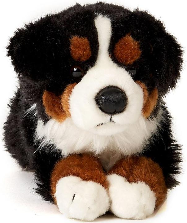 Actual product image Uniring Bernese mountain dog (39 cm)