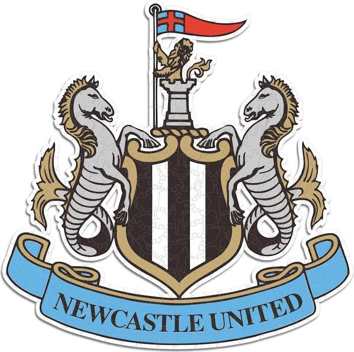 Actual product image Iconic Newcastle United FC - Logo - Wooden Puzzle Size S (150 pieces) (150 pieces)