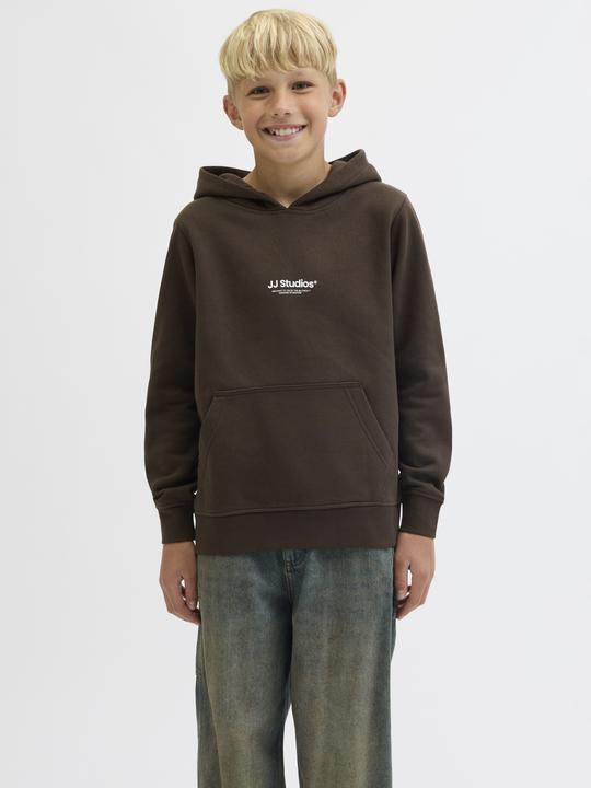 Actual product image Jack & Jones Jjesoho Sweat Hood Noos Jnr (164)