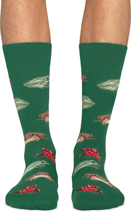 Produktbild Jimmy Lion socken frogs (41, 46)