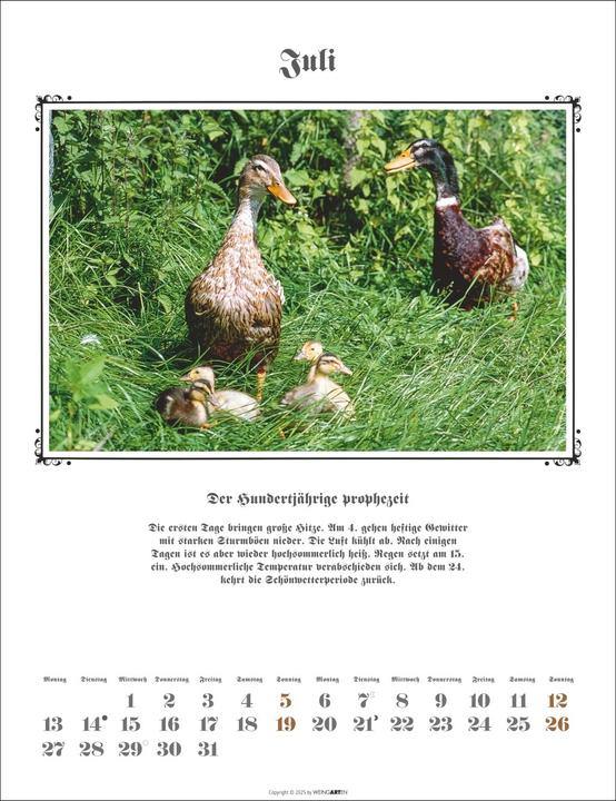 Produktbild Der Hundertjährige Kalender 2026 (30 x 39 cm, Deutsch)