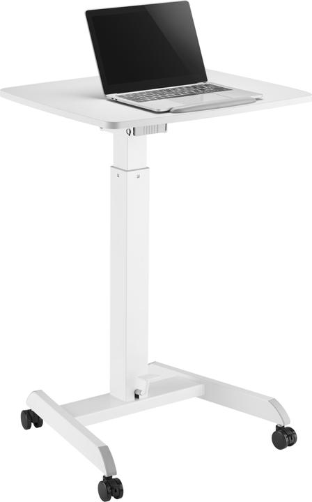 Produktbild Reflecta Dino