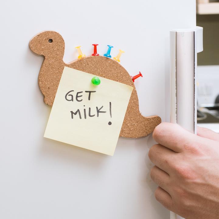 Actual product image Novelty Magnetic cork pinboard dinosaur (Bulletin board, 10 x 10 x 10 cm)