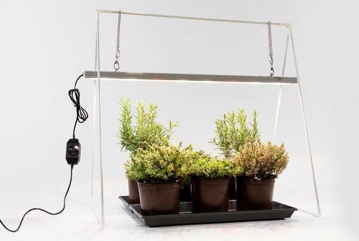 Actual product image Venso Growlight Duo (LED, 245 V)