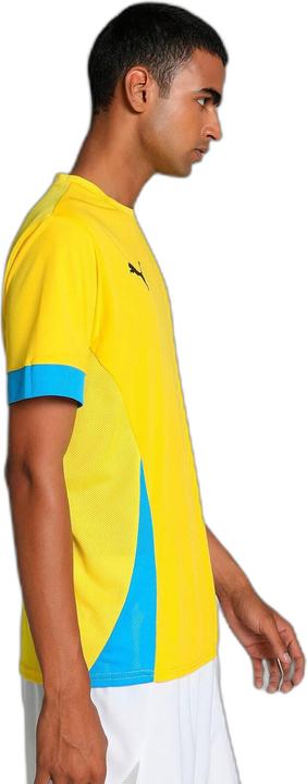 Actual product image Puma teamGOAL Matchday Jersey (S)