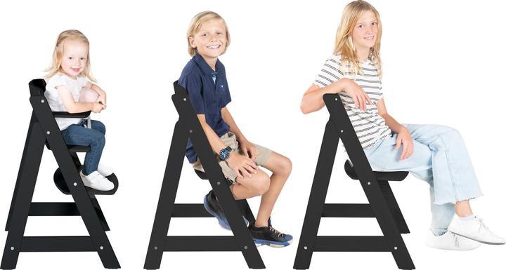 Immagine prodotto Roba Seggiolone per scale (Seggiolone)