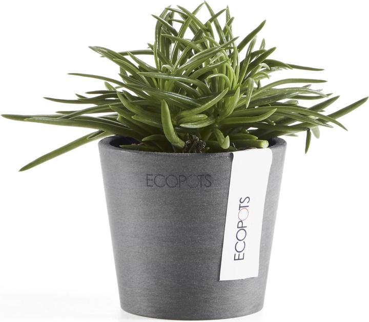 Actual product image Ecopots Amsterdam Mini (8 cm)