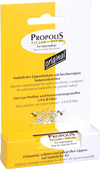 Immagine prodotto Remmele Balsam Stift (Cura matita)