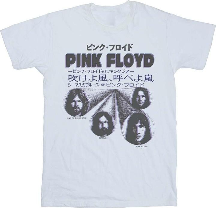 Pink Floyd Japanese Cover TShirt (4XL)