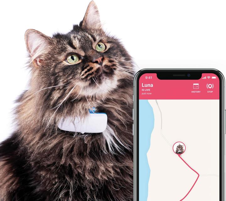 Actual product image Tractive GPS tracker for cats with activity tracking (Cat, Walks)