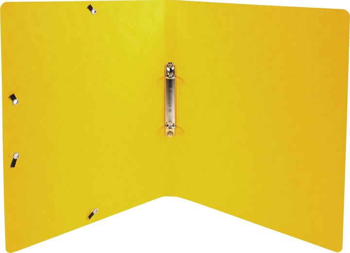 Actual product image Exacompta Ring binders (A4, 20 mm, 1 Piece)