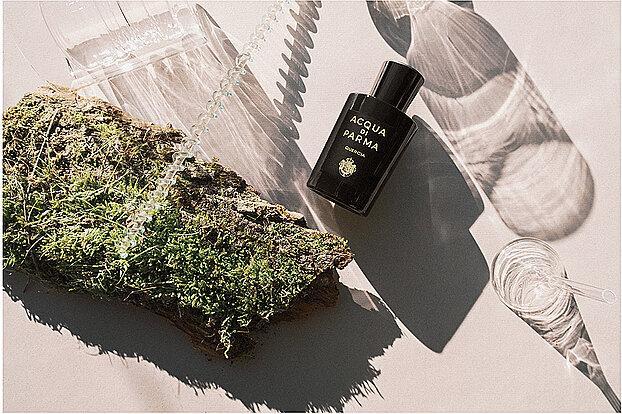 Actual product image Acqua Di Parma Quercia (Eau de parfum, 180 ml)