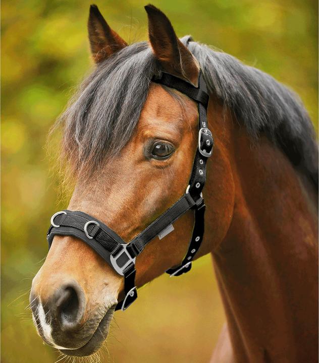 Actual product image Waldhausen Nylon Cavesson Economic