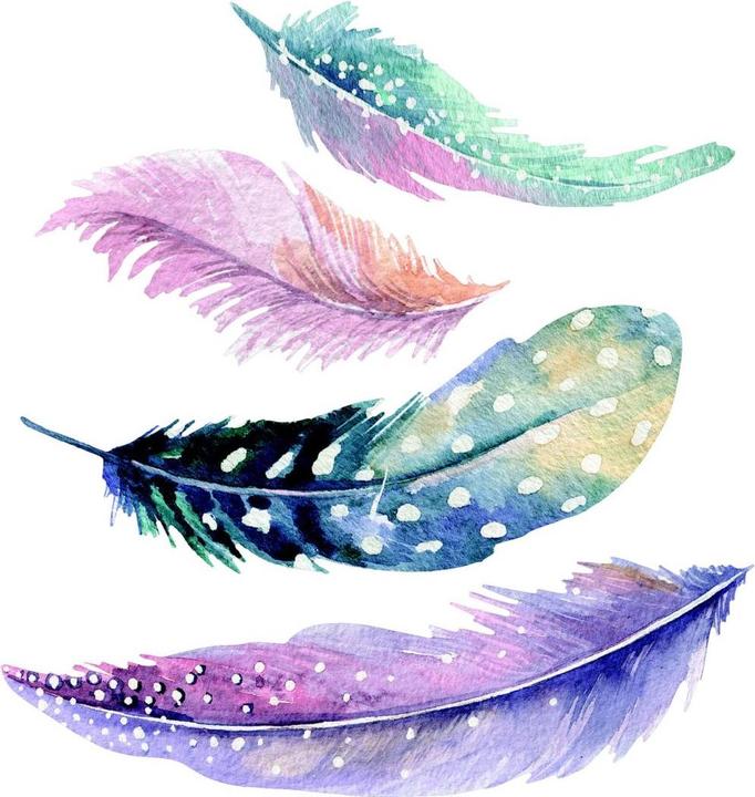 Produktbild Trenddeko Aquarell Federn 2 (30 x 31 cm, 50 x 52 cm, 40 x 41 cm, 60 x 62 cm, 70 x 73 cm)