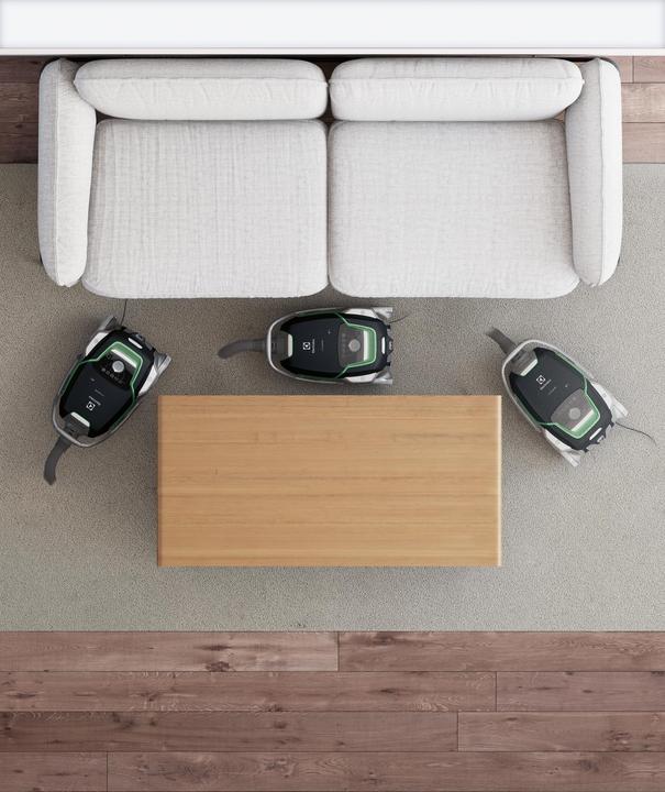 Actual product image Electrolux UltraOne EUO9GREEN
