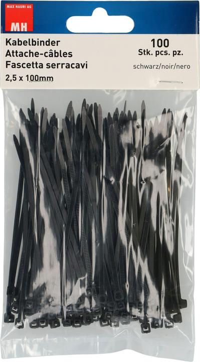 Actual product image Max Hauri Cable ties (Plastic cable ties, 100 mm, 100 pcs.)