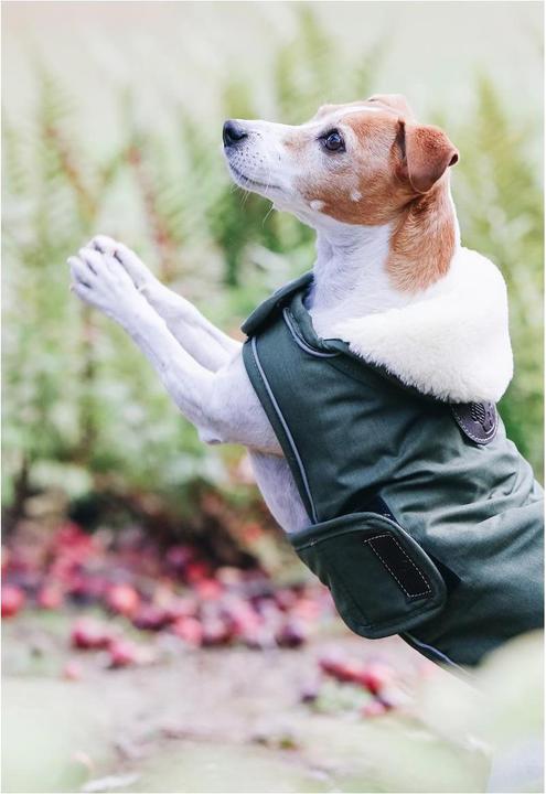 Produktbild Kentucky Dogwear Hundemantel wasserdicht 300g (XS, Hundemantel)