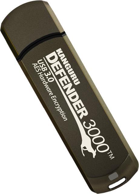Image du produit Kanguru 256GB Defender 3000 Lecteur Flash USB 3.0 crypté FIPS 140-2 Level - 256 (256 Go, USB-C)