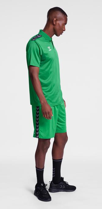 Actual product image hummel Hmlauthentic Functional Polo (L)