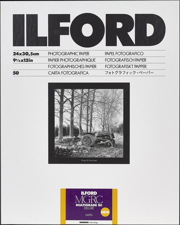 Ilford mg Rc dl (190 g/m², 24 x 30 cm, 50 x)