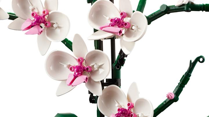 Productafbeelding LEGO Orchidee (10311, LEGO Botanisch)