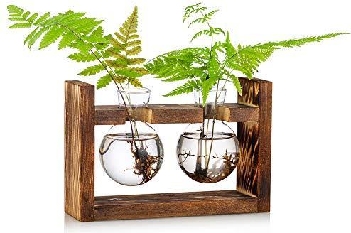 Produktbild Alopini Vermehrungsstation 2 Stück Glühbirne Avocado Vase Glas Eichel Vase Für Blumen Terrarium Jar (2 x)