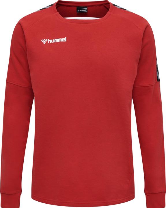 hummel Authentic Training Sweat