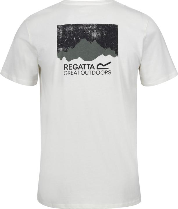 Actual product image Regatta Mens Breezed IV Graphic Print T-Shirt (L)