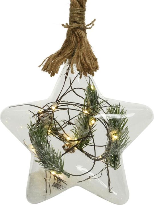 Actual product image Lumineo Micro LED star with branch 20 cm