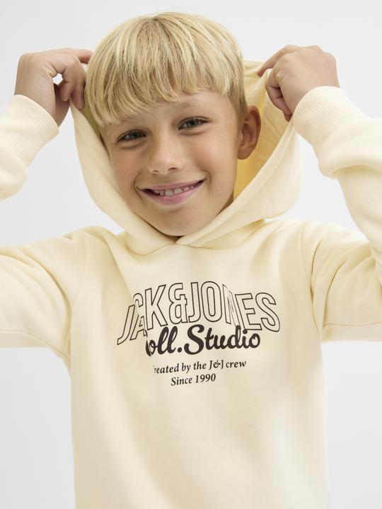 Actual product image Jack & Jones Kapuzenpullover Junior Kapuzenpullover (164)