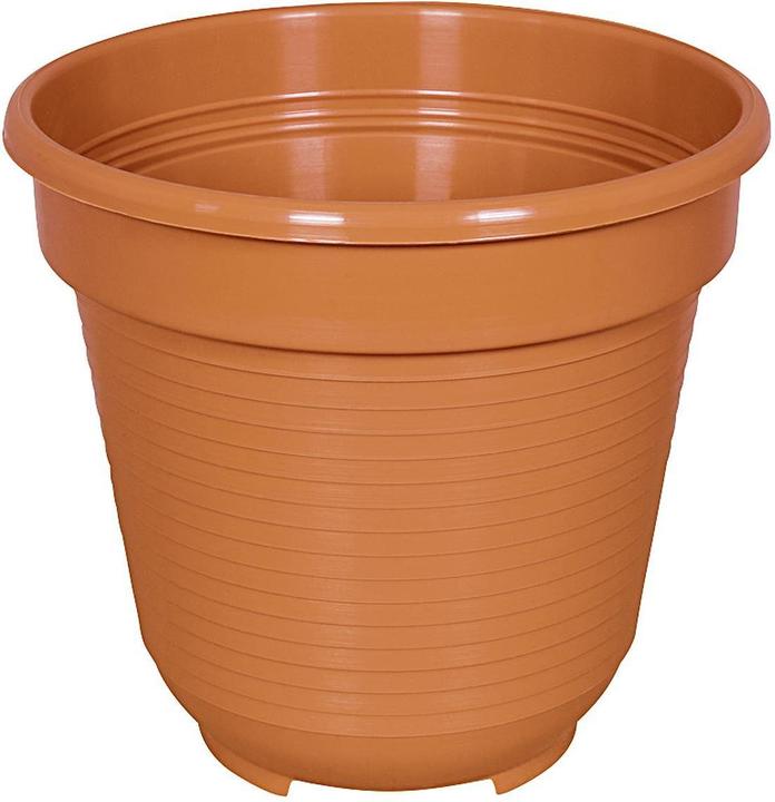 Produktbild Geli Standard (10 cm)